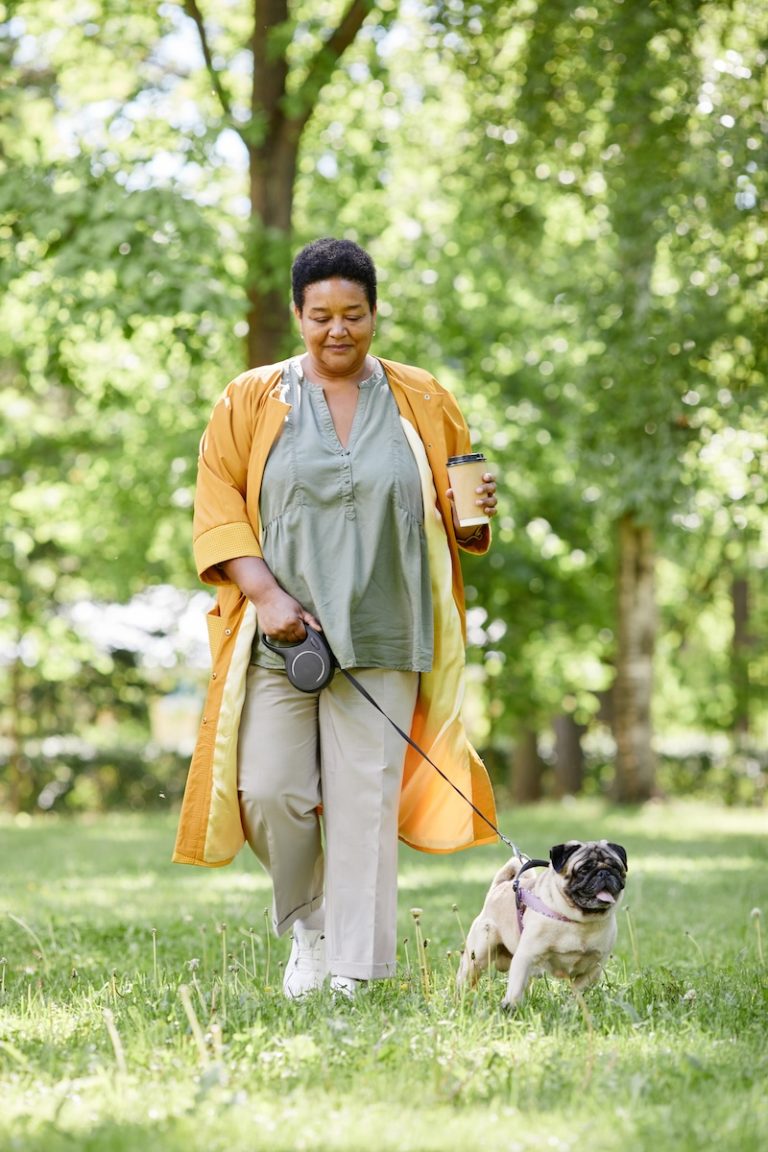 Woman in a yellow coat walking a pug on a leash in a park, holding a coffee cup, with trees in the background.