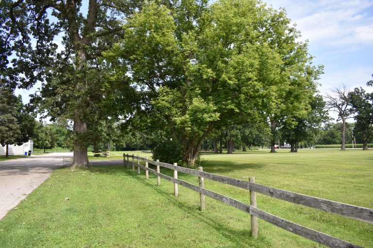 Wooden fence along a grassy field with large trees and a path on a sunny day.